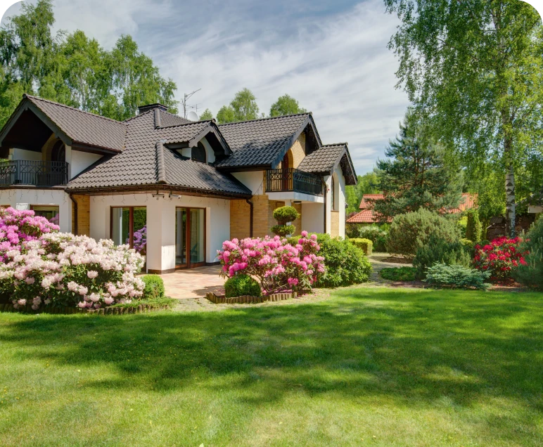 Scenic backyard with blooming flowers