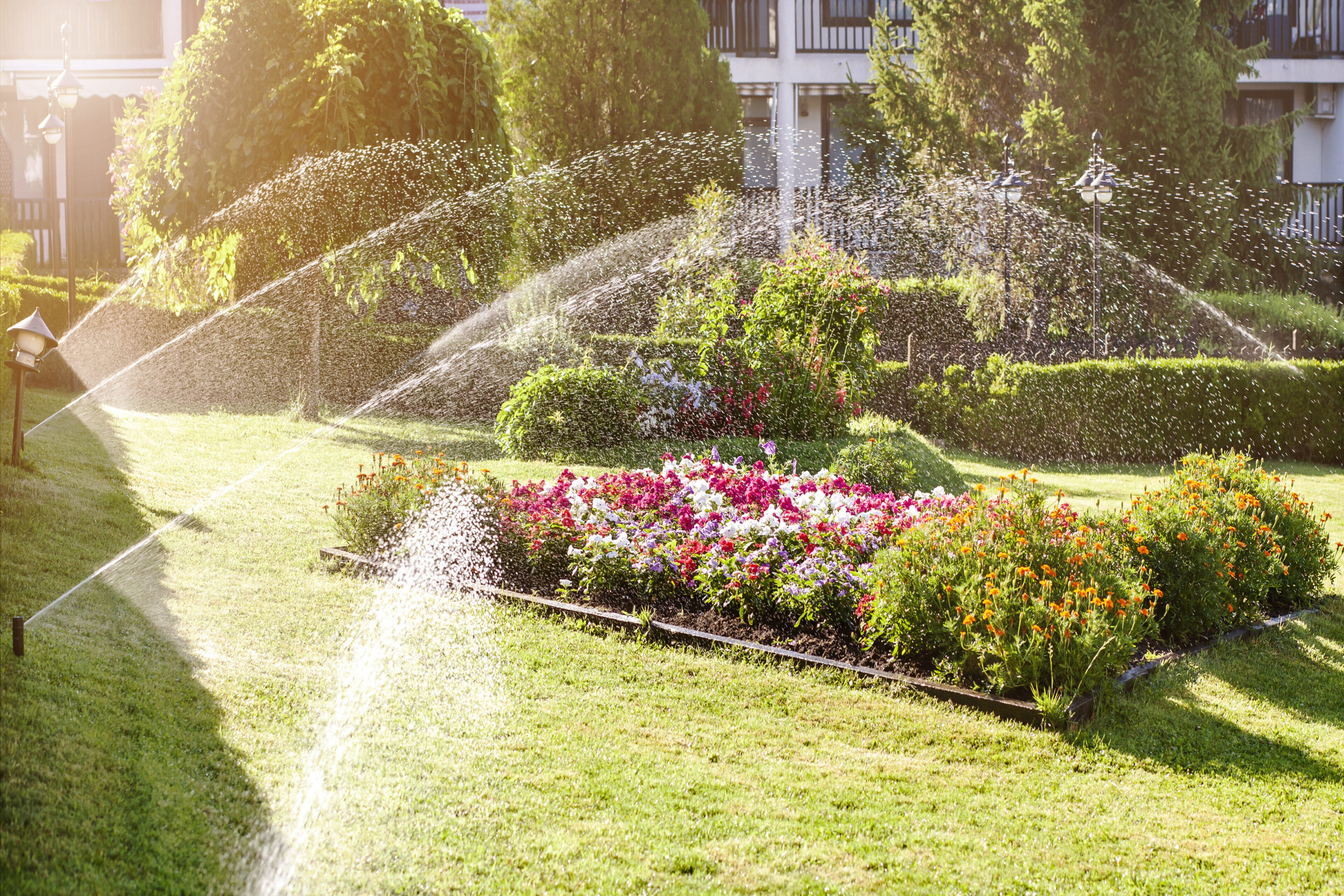 Sprinklers watering a vibrant garden with blooming flowers on a sunny day.