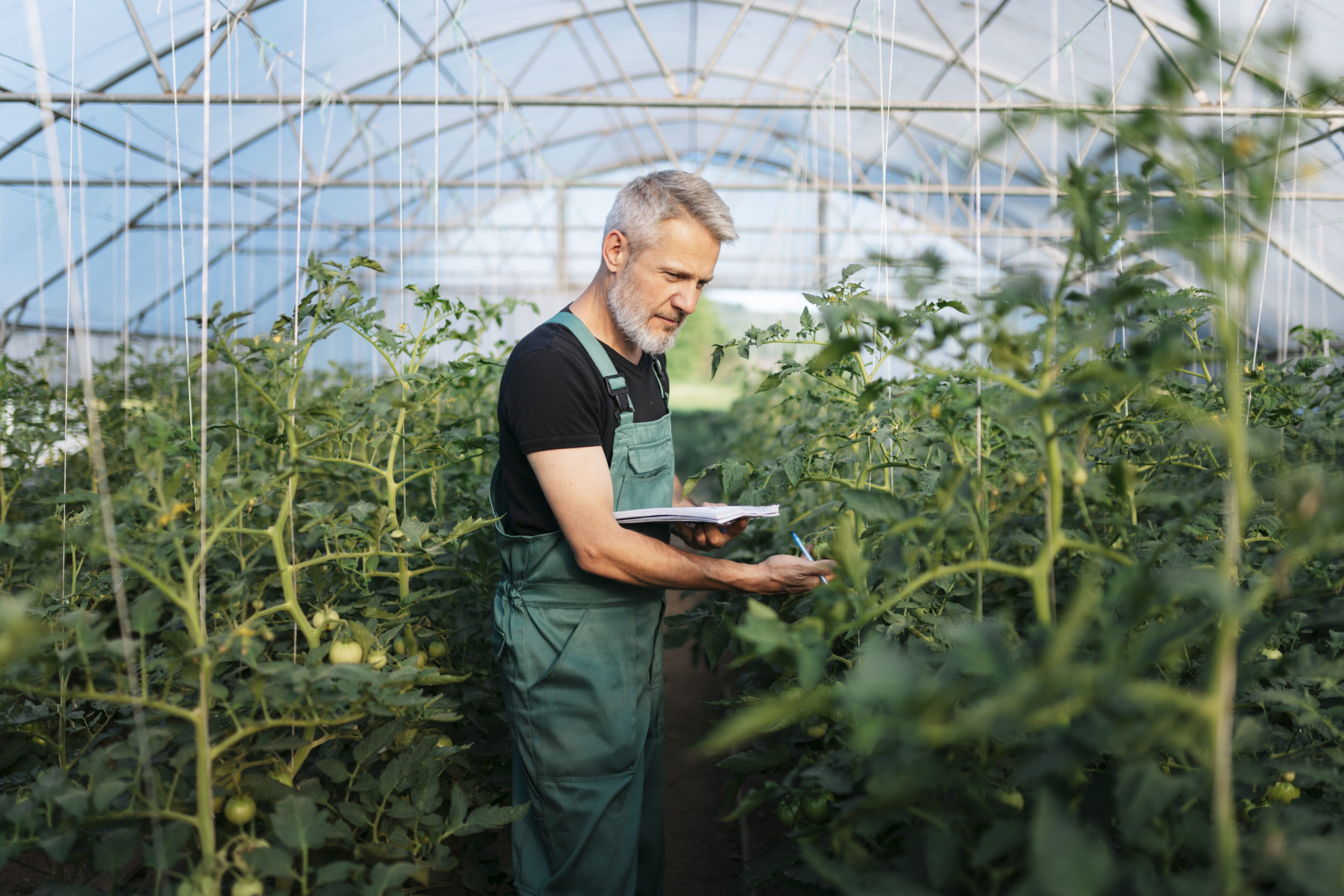 Man tending to plants in a greenhouse.