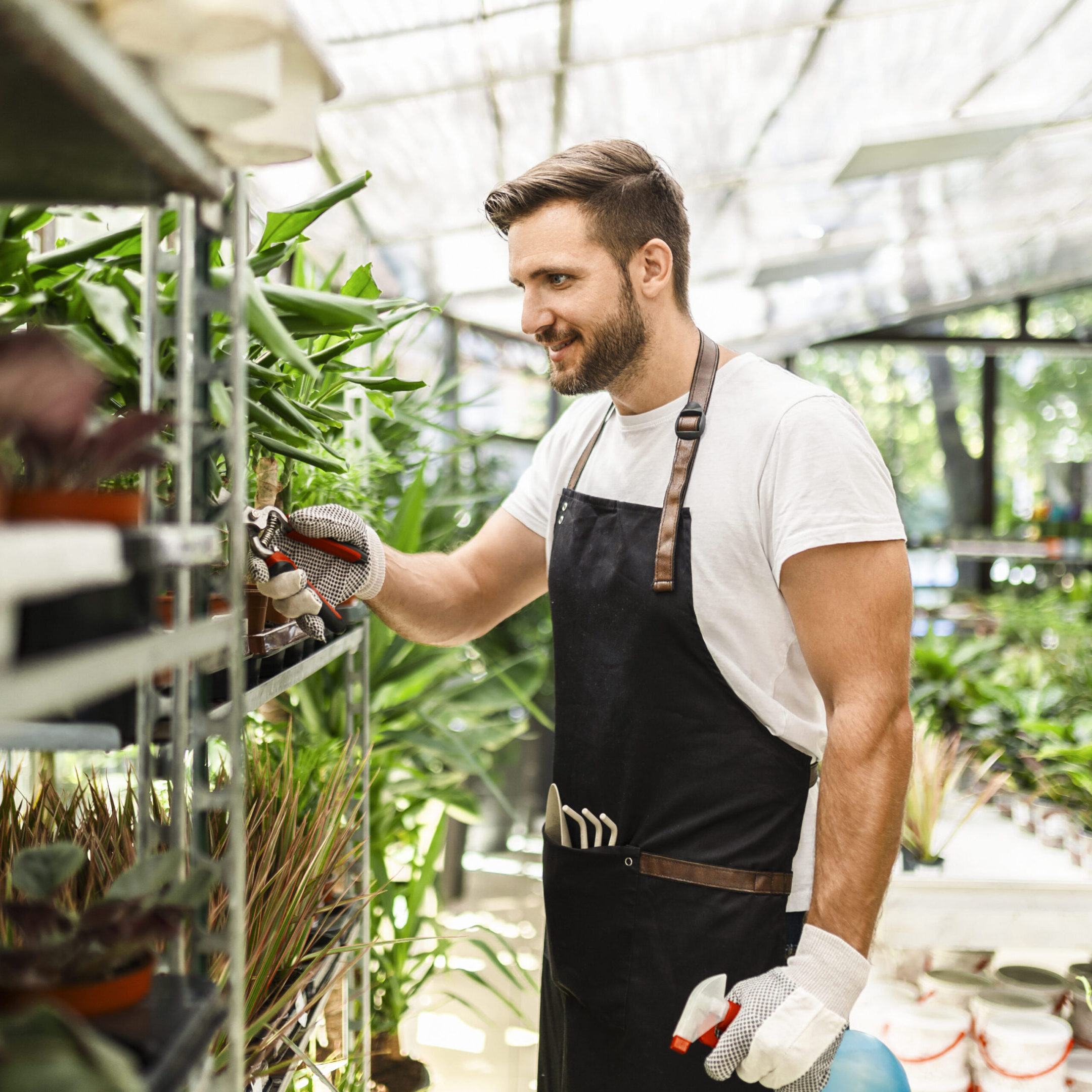 A man tending to plants in a greenhouse.