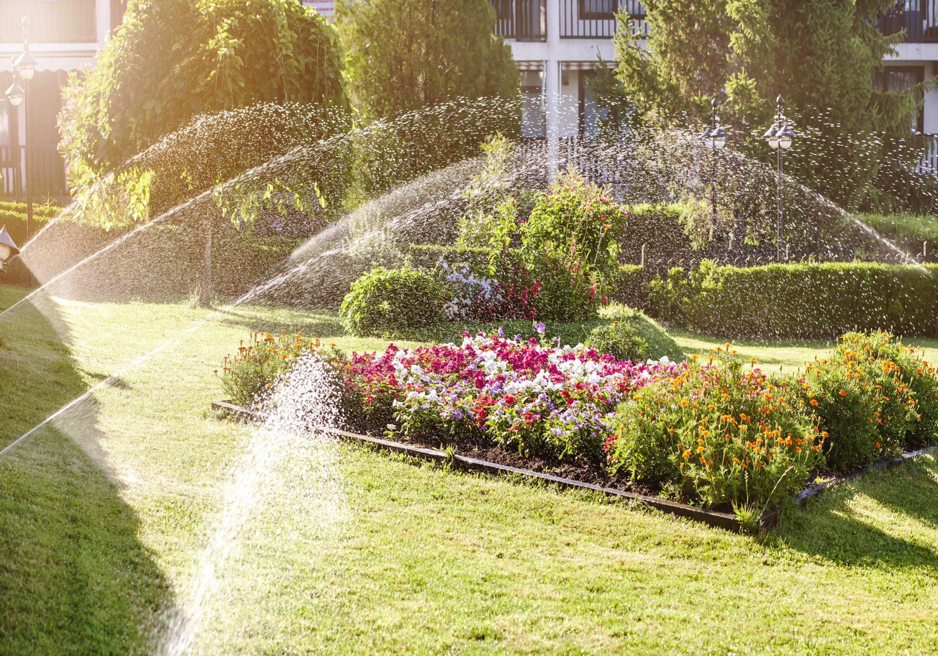 Watering Grass, Lawn in Garden with Sprinklers. Modern Automatic Sprinkler Irrigation System. Garden Service. Landscape design.