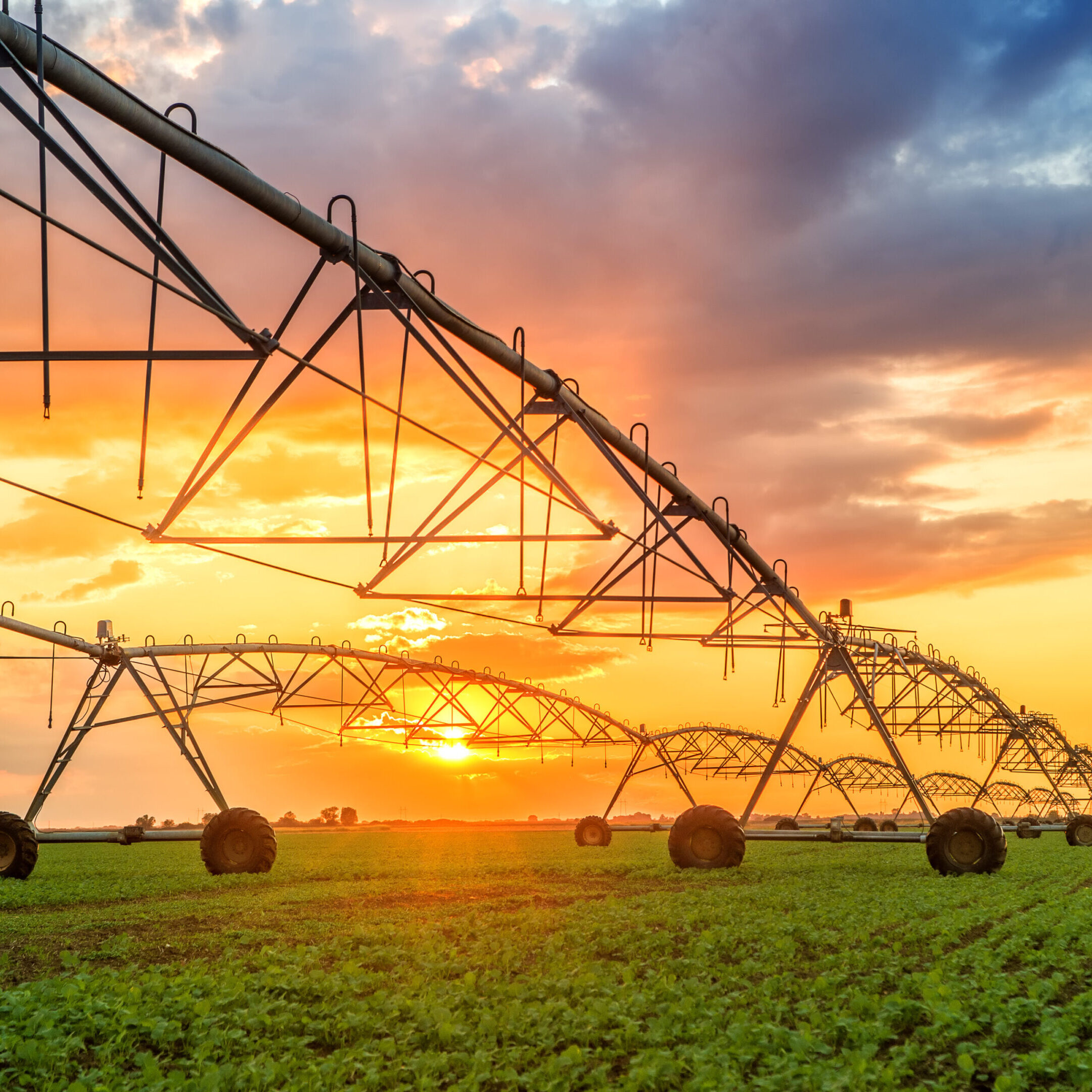 Irrigation system watering crops at sunset on a farm.